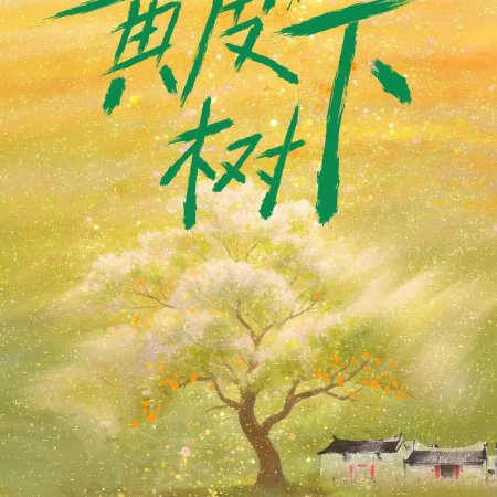 Huang Pi Shu Xia (2026)
