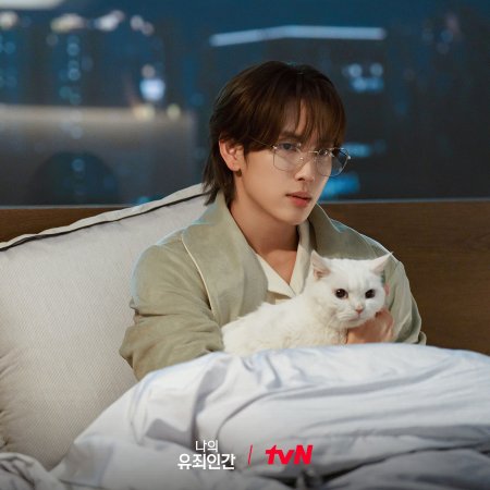 Love in Disguise (2026)