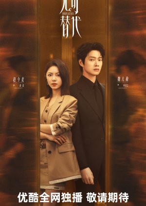 Irreplaceable poster