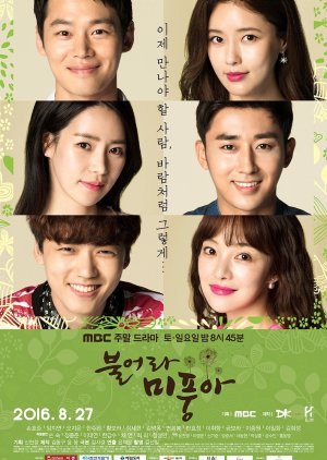 Windy Mi Poong (2016) poster