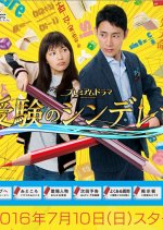 Cinderella Formula Japanese Drama photo