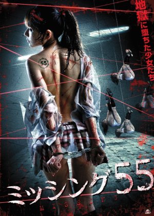 Missing 55 (2011) poster
