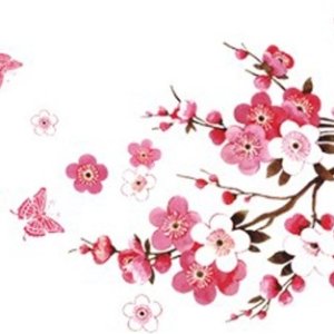 Kamisama no Boto  (2013)