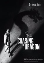 Chasing the Dragon Hong Kong Movie photo