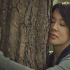 Montage Korean Movie photo