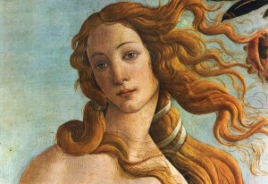 VenusX