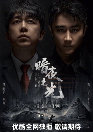 The Light in the Dark poster