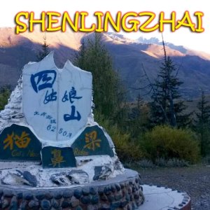 Lost in Shenlingzhai (2017)