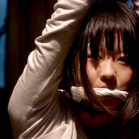 Vanished: Age 7 (2011)