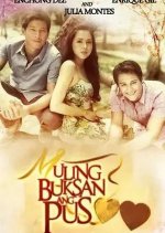 If Only Philippines Drama(2013) photo