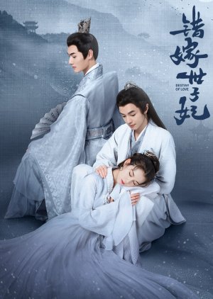 Wrong Marriage () poster