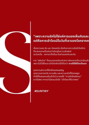 Suntiny () poster