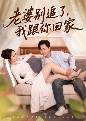 Lao Po Bie Zhui Le, Wo Gen Ni Hui Jia (2025) poster