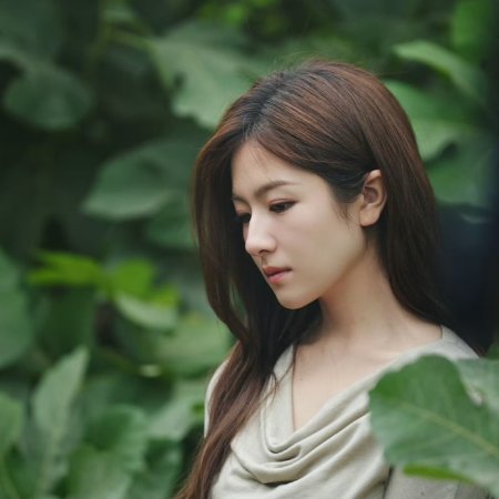Bloom Life (2026)