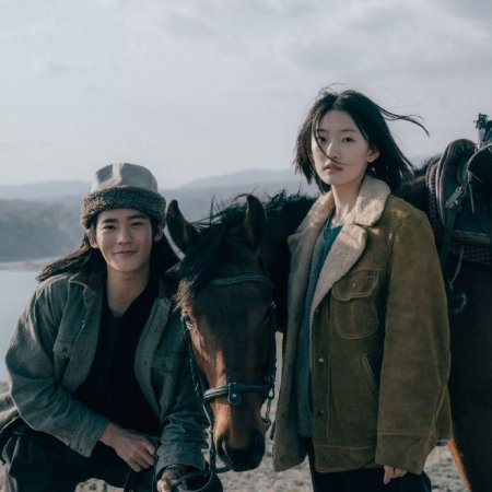 To the Wonder (2024)