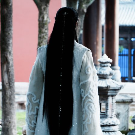 Veil of Shadows (2026)