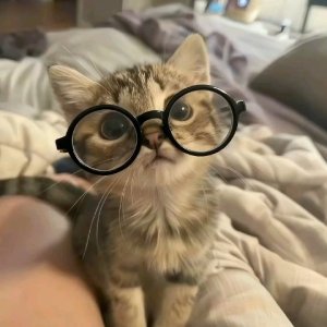 Probably Not Ms Austen