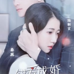 Marriage Due to Wrong Love: Mr. Lu, You Have the Wrong Person (2023)