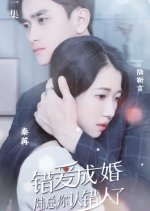 Marriage Due to Wrong Love: Mr. Lu, You Have the Wrong Person Chinese Drama(2023) photo