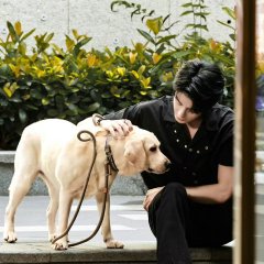 Home about Us Chinese Drama photo