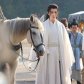 Wulin Heroes