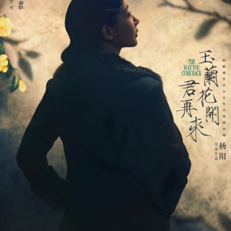 The Way You Come Back ()