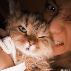 El Alma Despejada Chinese Drama(2025) photo