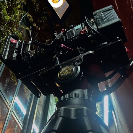 Revamp the Undead Story (2025)