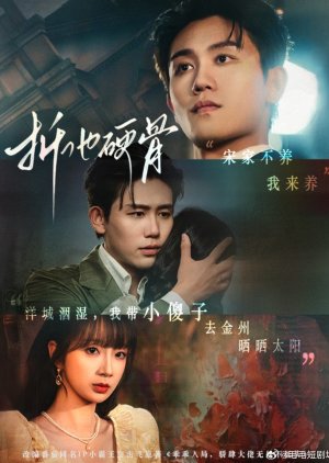 Zhe Ta Ying Gu (2025) poster