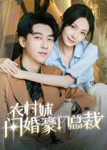 Mr. Gu's Lovely Wife Chinese Drama(2024) photo