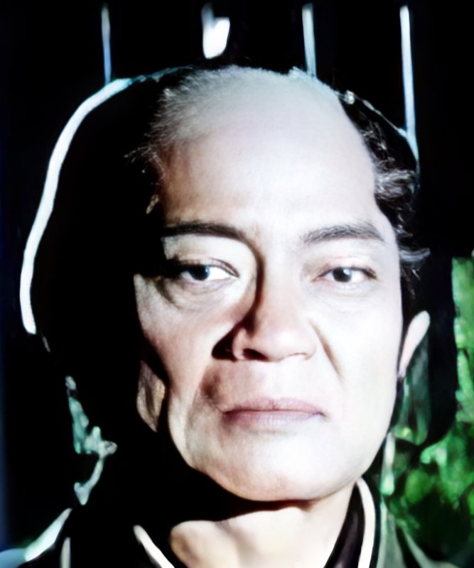 Unosuke Hasegawa