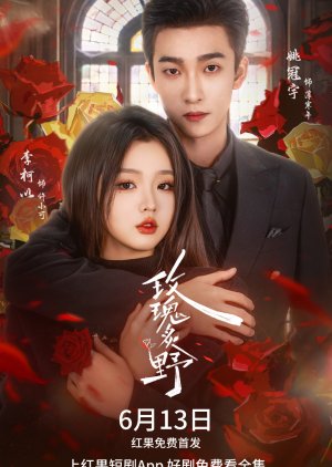 Mei Gui Zhi Ye (2025) poster