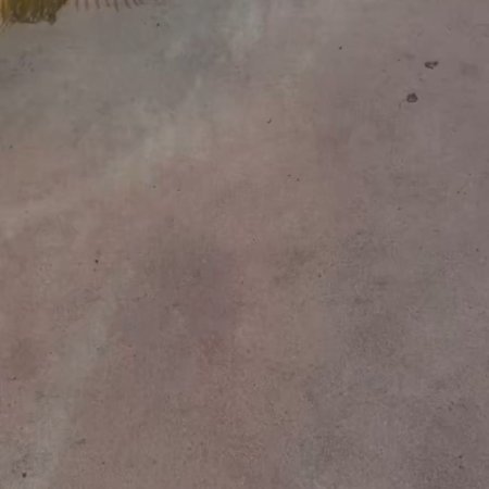 Revamp the Undead Story (2025)