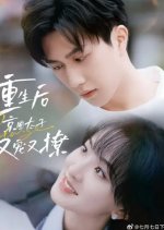 The Pampered and Flirtatious Capital Prince Chinese Drama(2024) photo