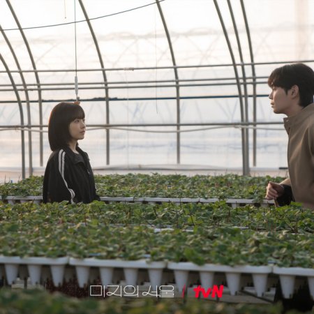 Our Unwritten Seoul (2025)
