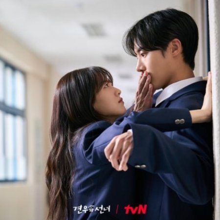 Head over Heels (2025)