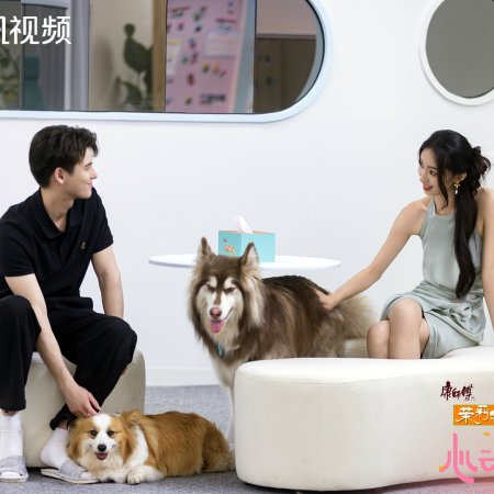 Heart Signal Season 8 (2025)
