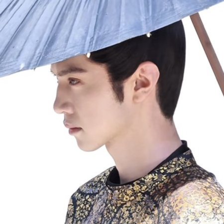 Jiang Shan Wei Pin ()