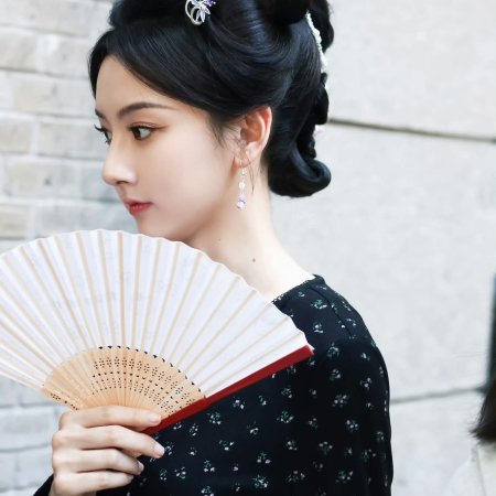 Biao Mei Wan Fu ()