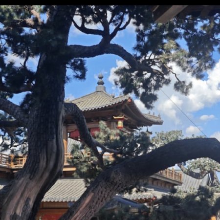 Jiang Shan Wei Pin ()