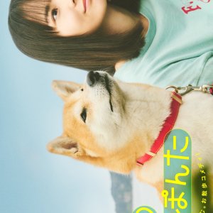 Kyo no Sanponta (2025)