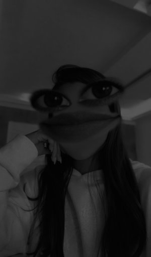 a k c q