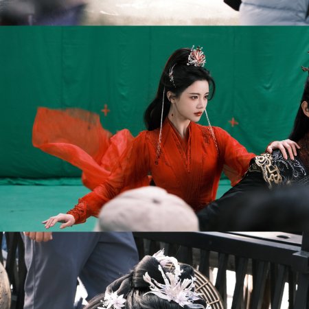 The Blossoming Love (2025)