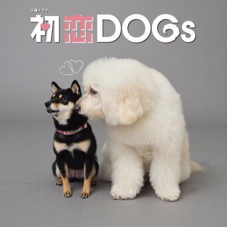 Hatsukoi DOGs (2025)