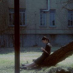 Swallowtail Butterfly Japanese Movie photo