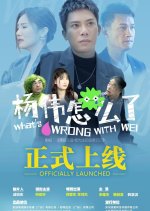 What's Wrong with Wei