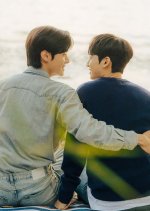 Business as Usual Special Korean Drama photo