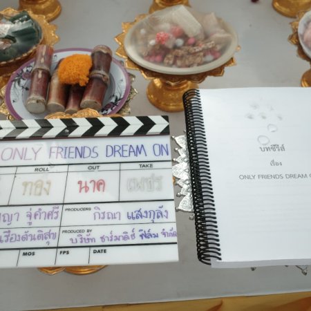 Only Friends: Dream On ()