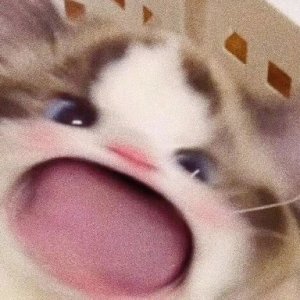 fizh