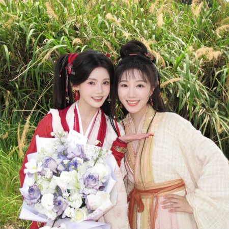 The Legend of Lu Xiaofeng ()